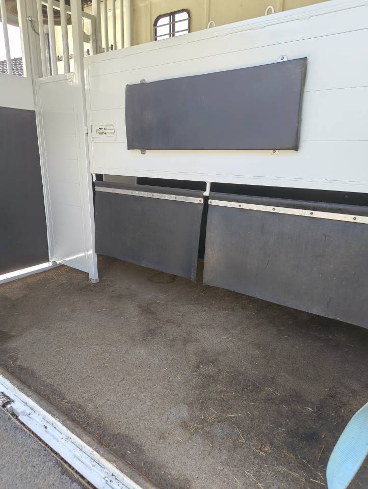 Camion transport  chevaux d'occasion