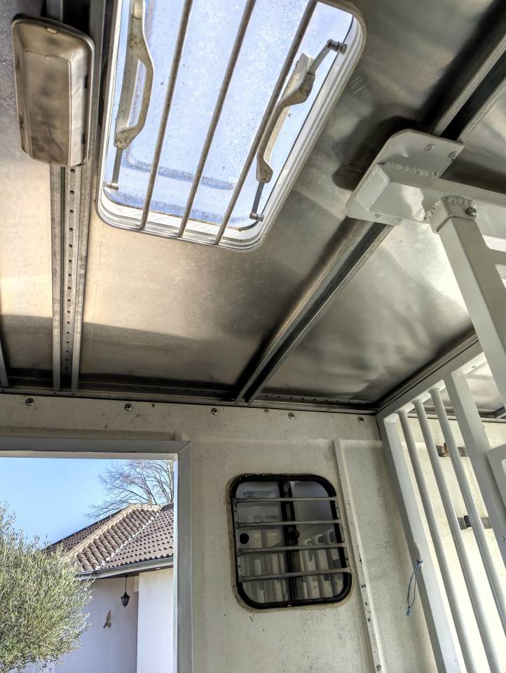 Camion transport  chevaux d'occasion