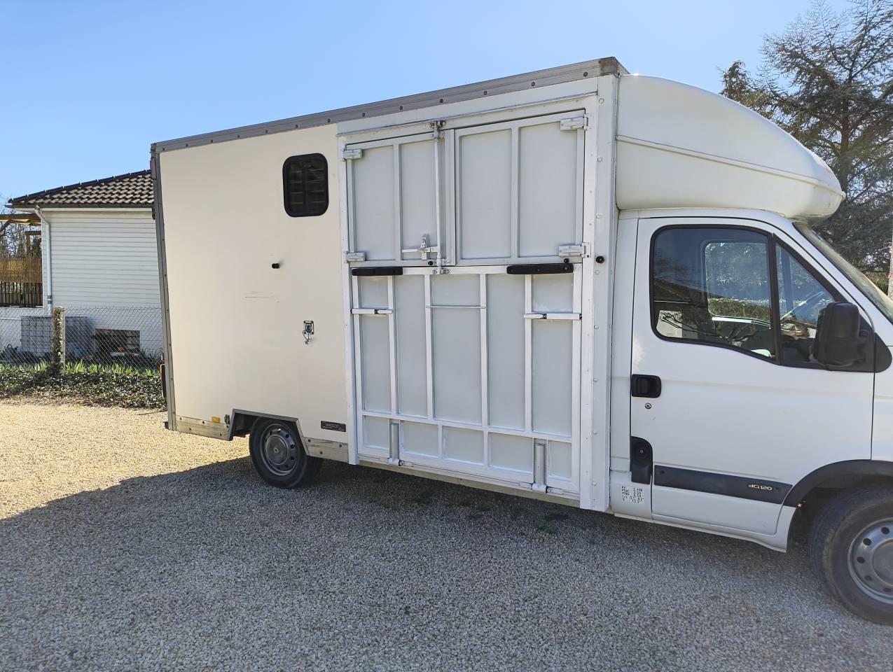 Camion transport  chevaux d'occasion