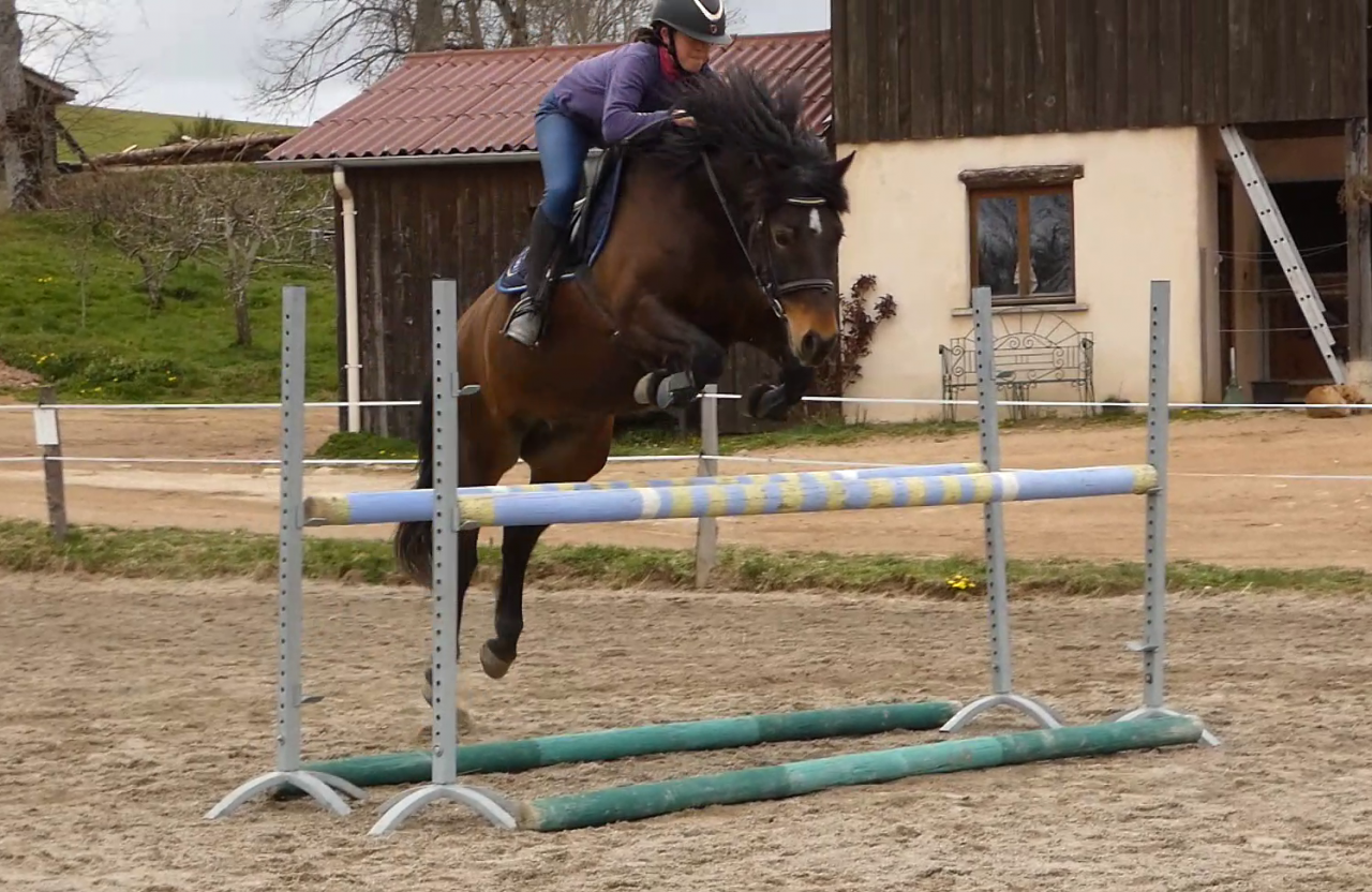 Ponette 6 ans
