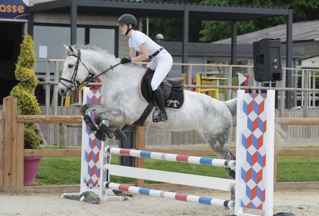 &Agrave; vendre : Jument de 10 ans 