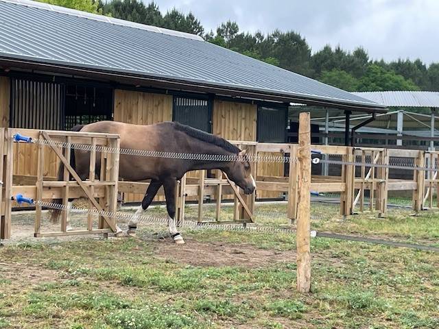 Propose pension cheval en autogestion