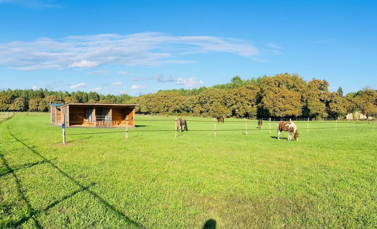 Propose pension cheval en autogestion