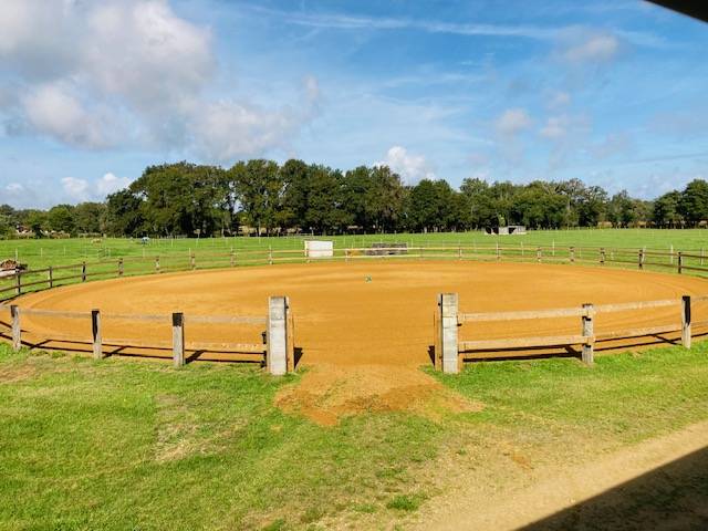 Propose pension cheval en autogestion