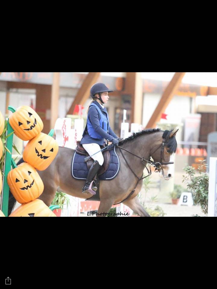 &Agrave; VENDRE : super poney D 