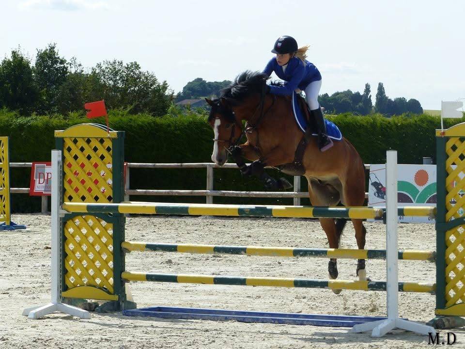 &Agrave; VENDRE : super poney D 