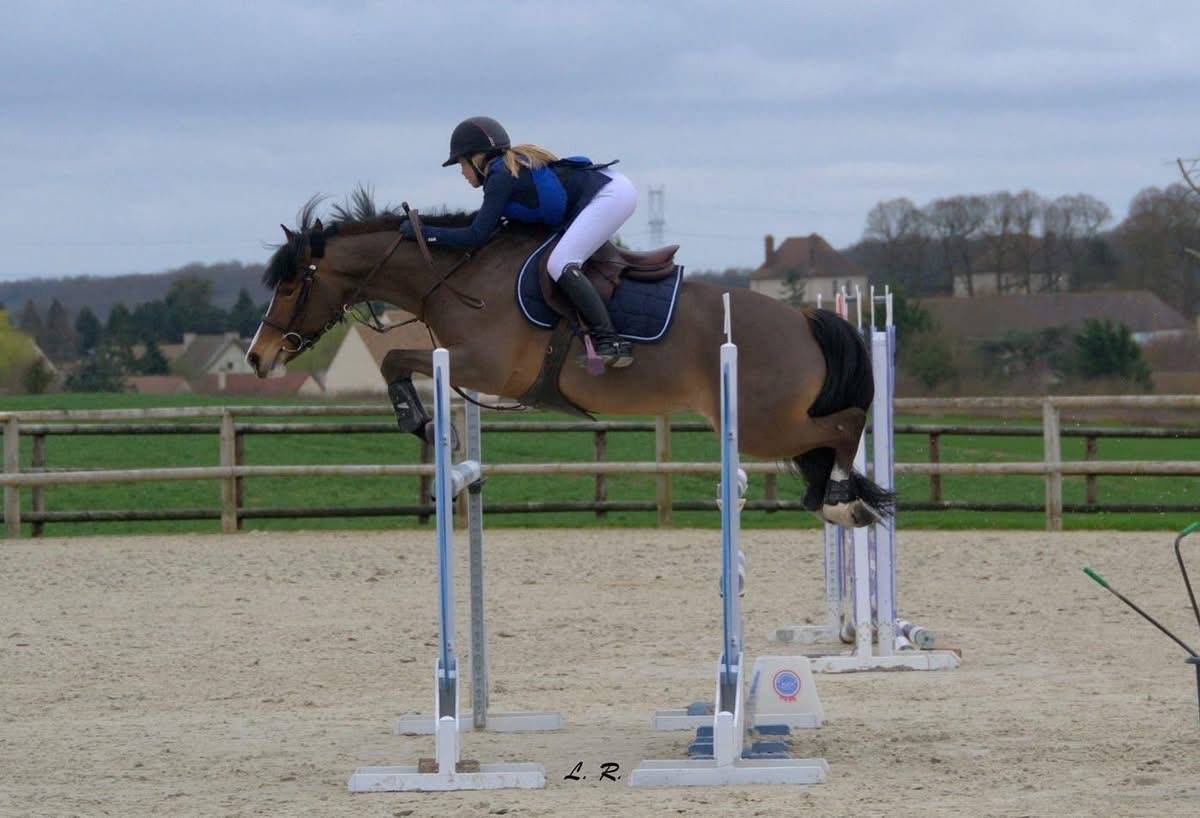 &Agrave; VENDRE : super poney D 