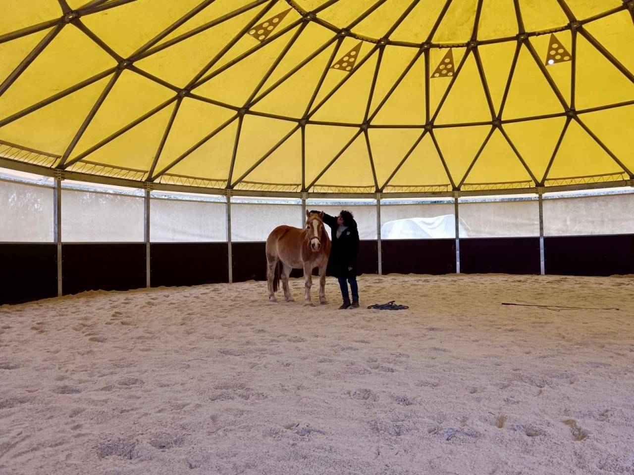 Coworking &eacute;questre