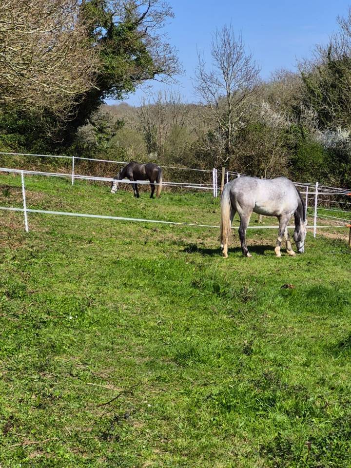 Coworking &eacute;questre