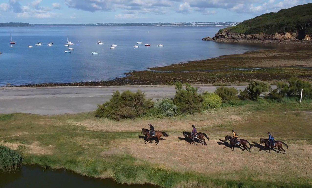 Coworking &eacute;questre