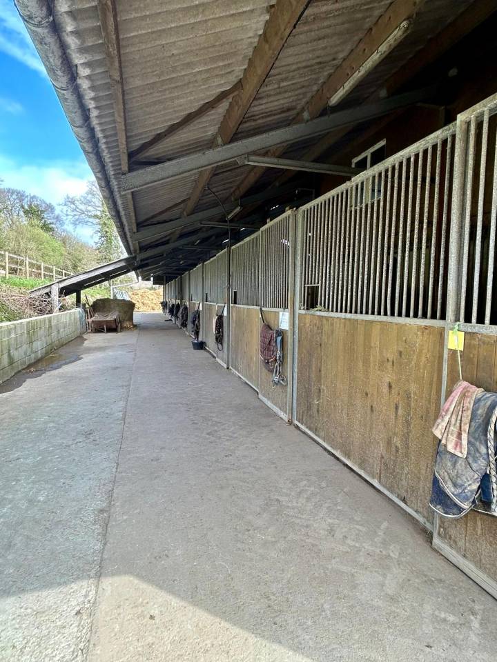 Coworking &eacute;questre