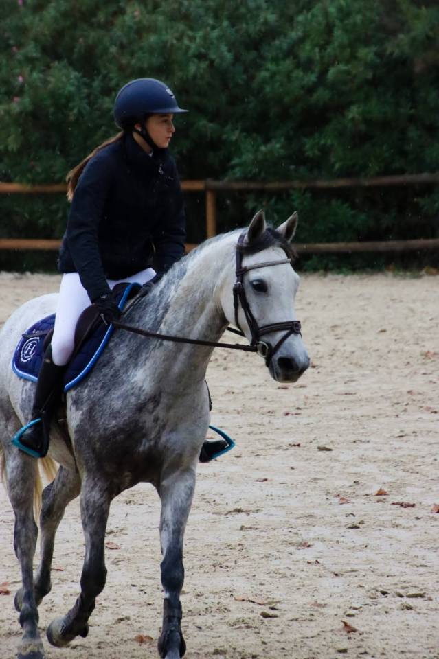 Poney D a vendre