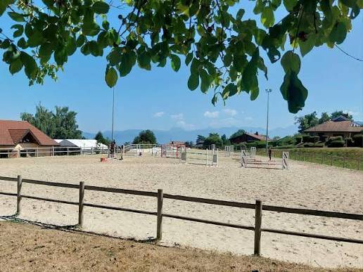 monitrice pour le club/ travail des poneys/chevaux