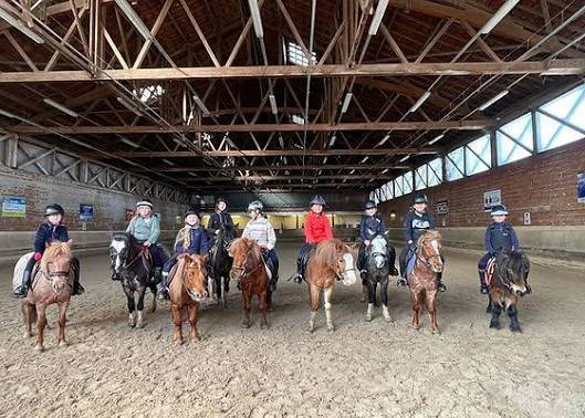 monitrice pour le club/ travail des poneys/chevaux