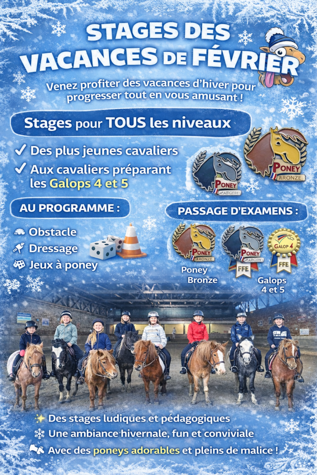 monitrice pour le club/ travail des poneys/chevaux