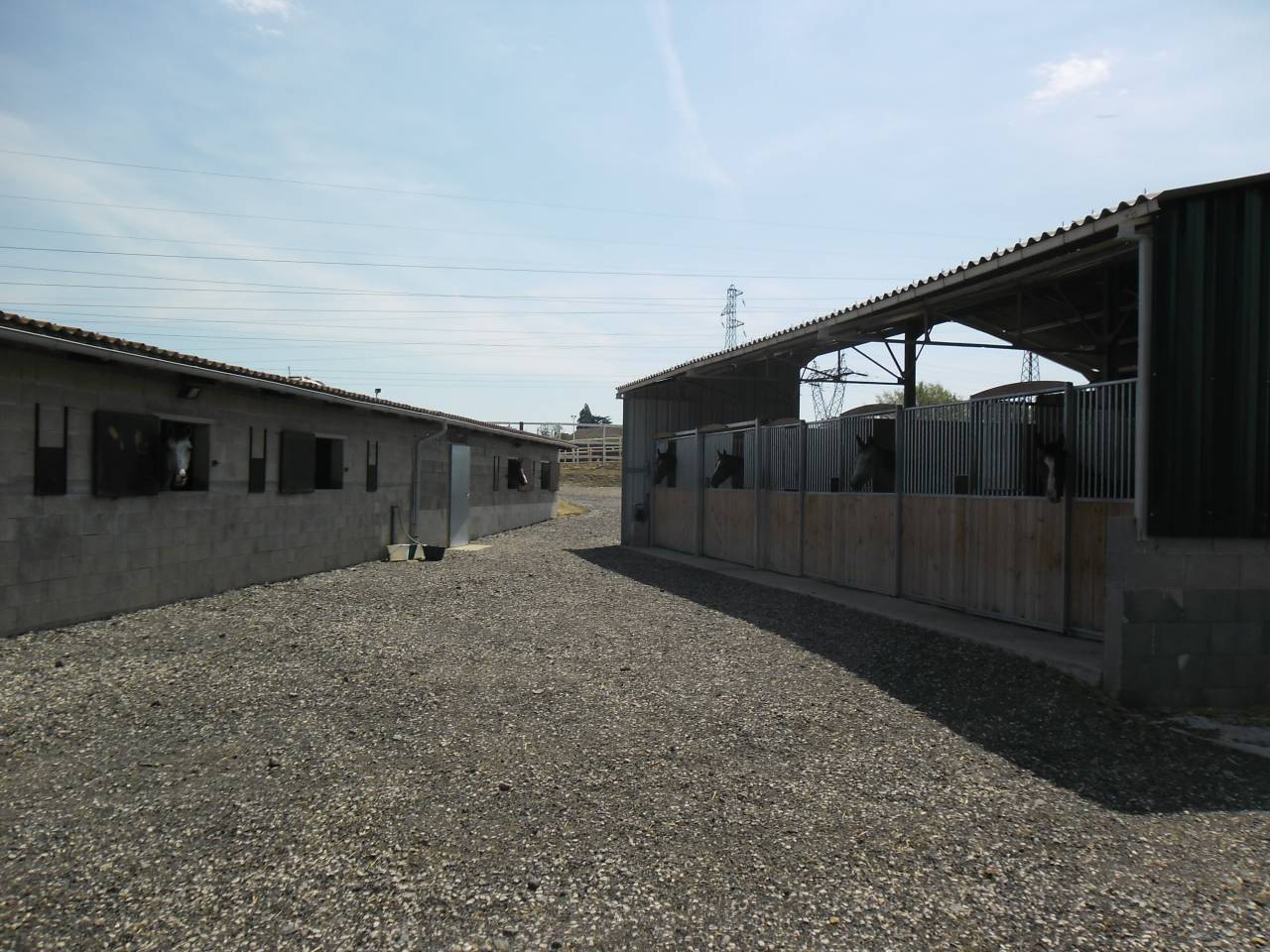 pension chevaux