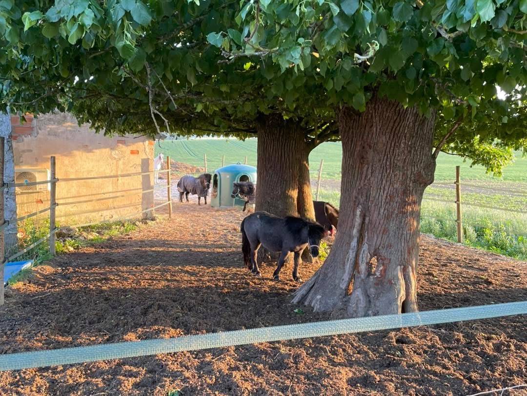 &Eacute;curie de propri&eacute;taire 