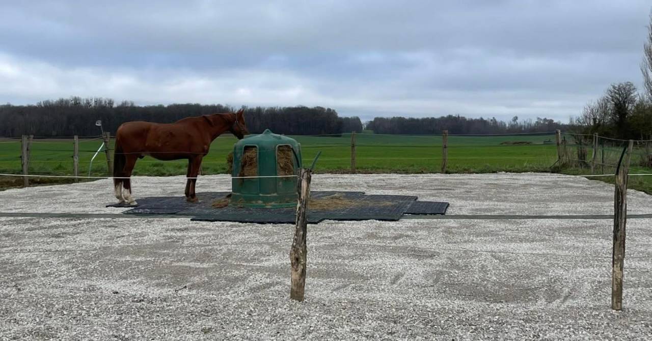 &Eacute;curie de propri&eacute;taire 