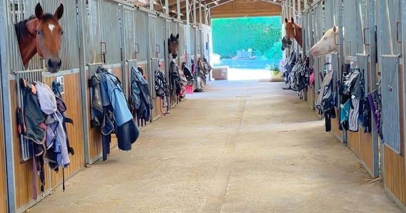 &Eacute;curie de propri&eacute;taire 