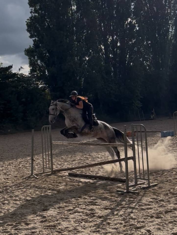 ✨ Good News de Meslay ✨