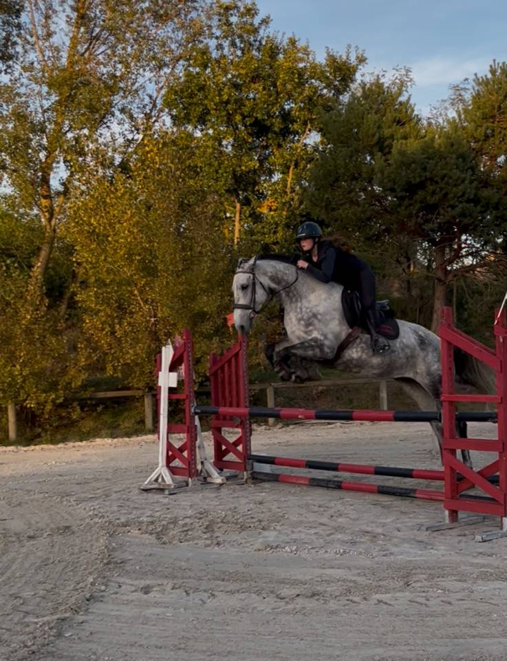 ✨ Good News de Meslay ✨