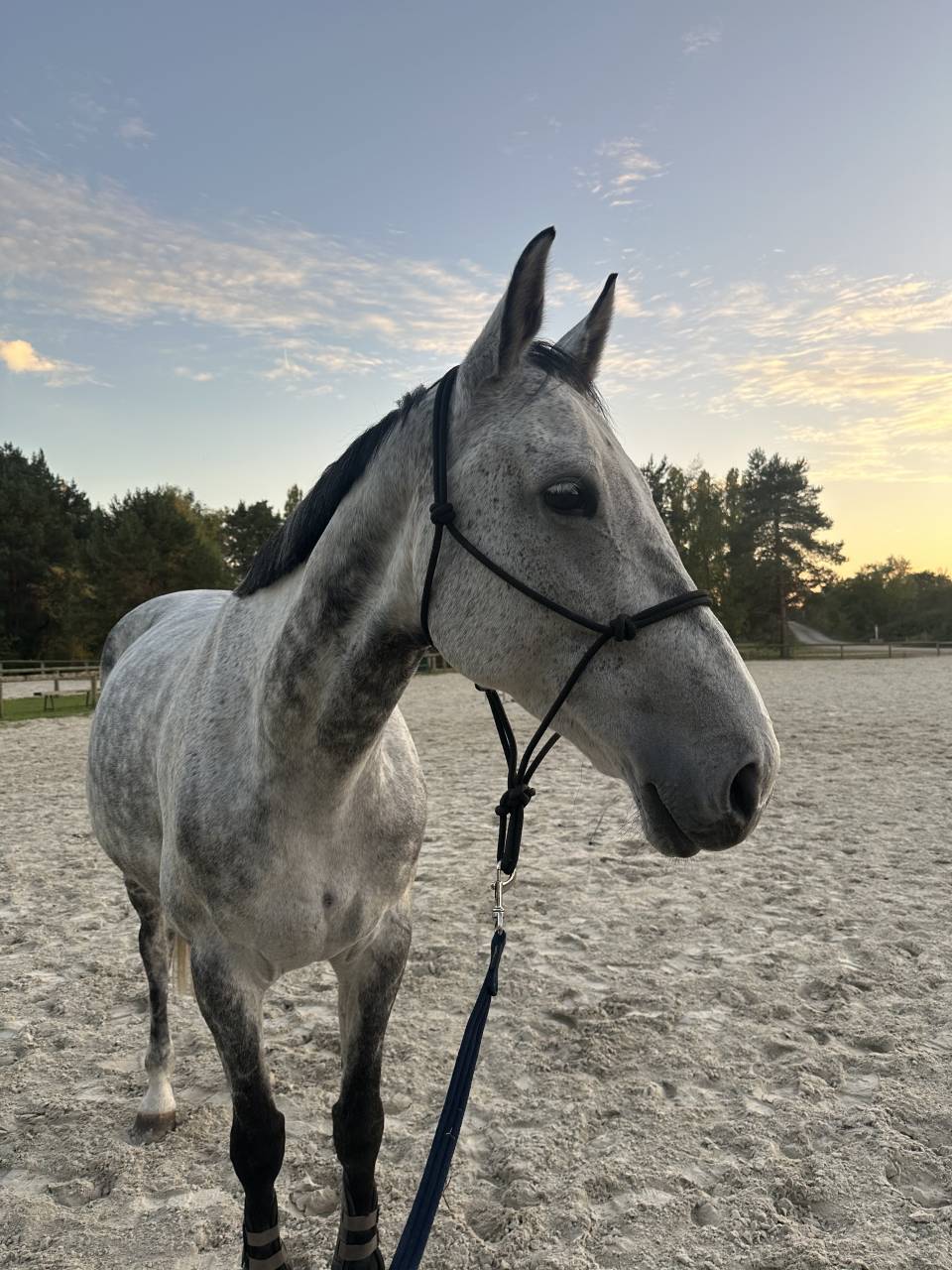 ✨ Good News de Meslay ✨