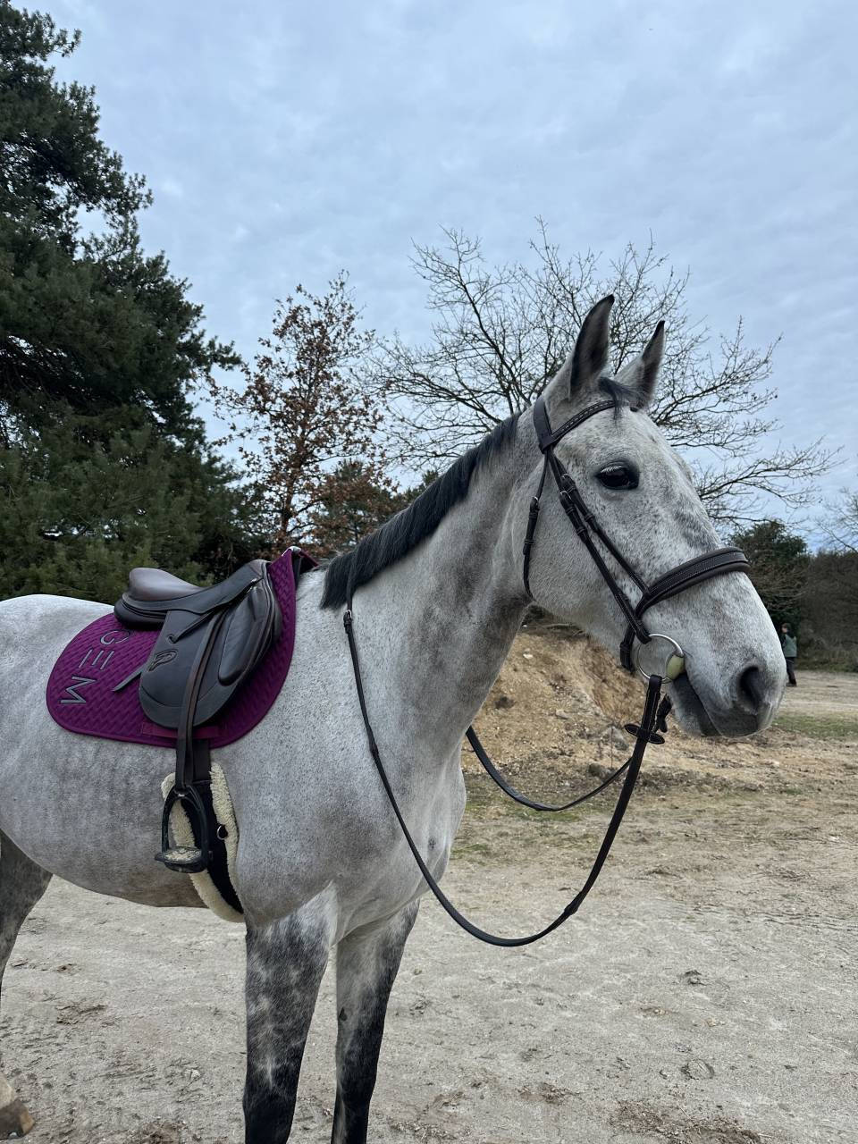 ✨ Good News de Meslay ✨