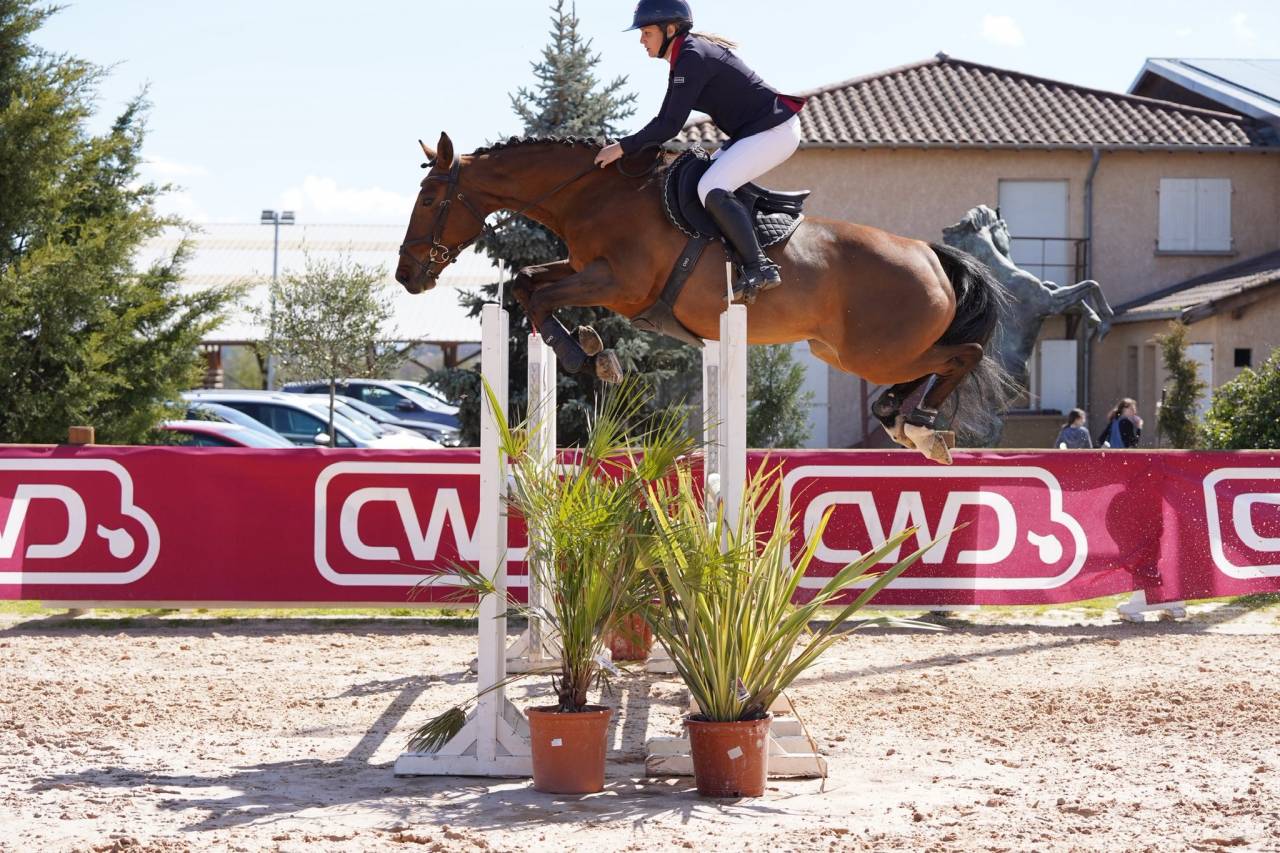 M&acirc;le SF 1 an origines : Chacco Blue - Quick Star