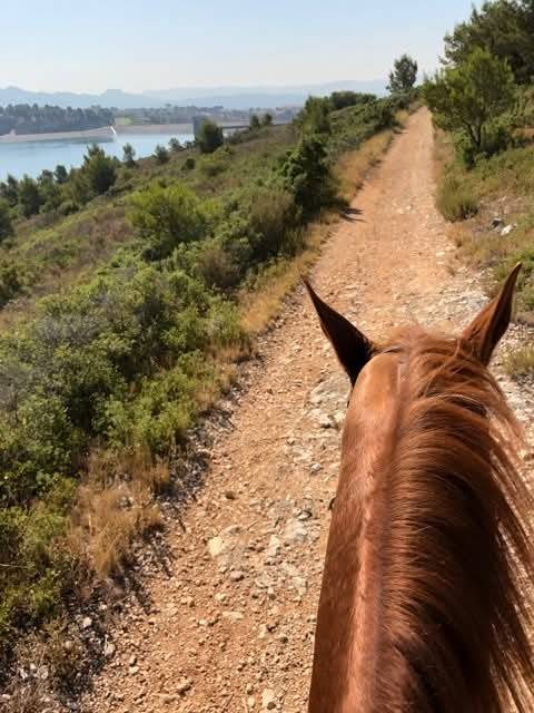 Pension sur Marseille 