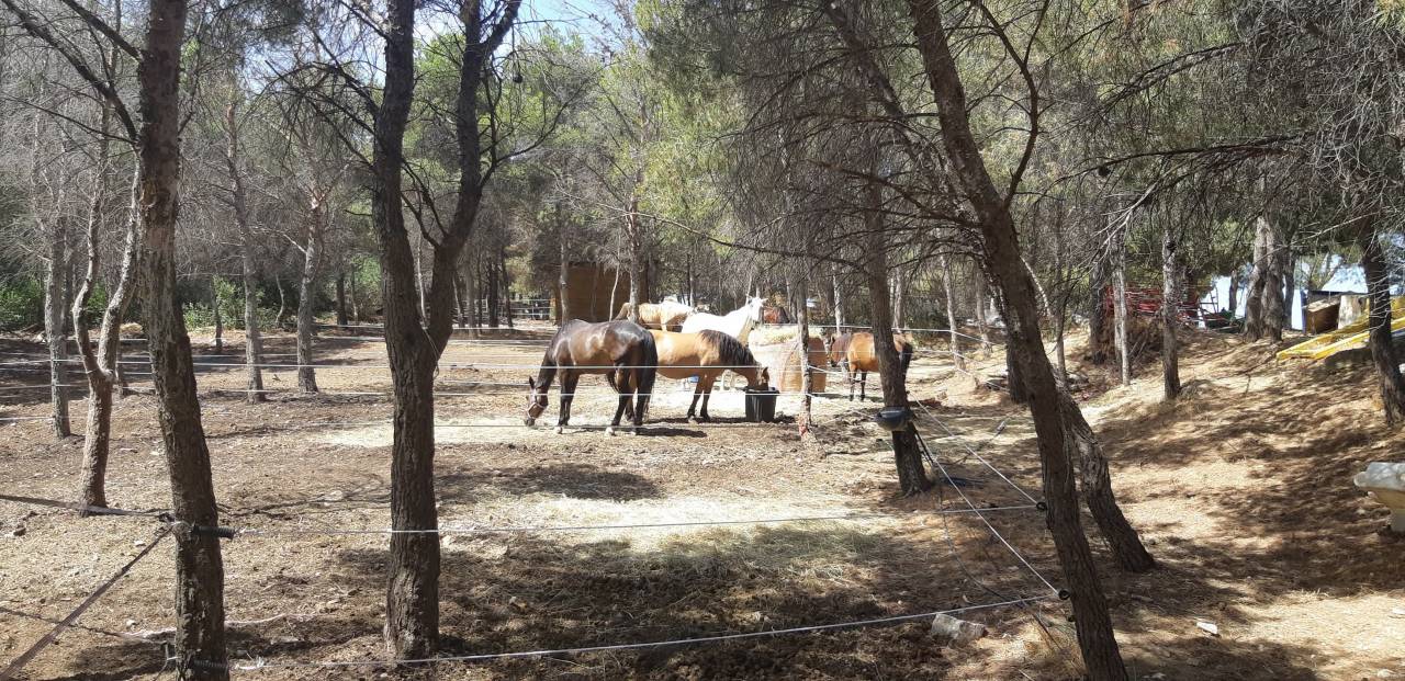 Pension sur Marseille 