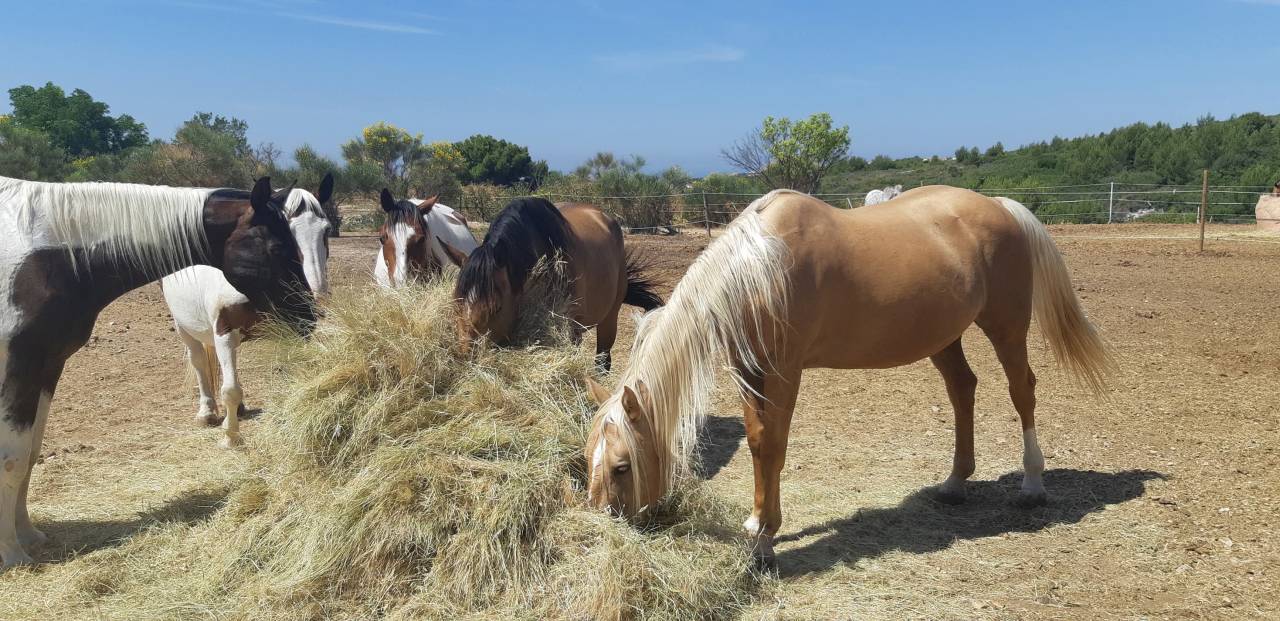 Pension sur Marseille 