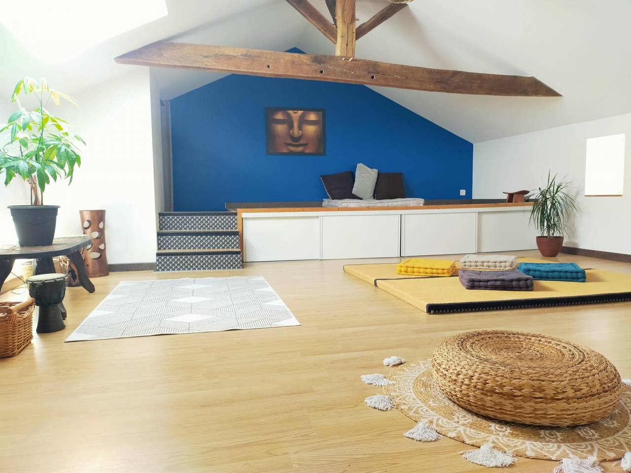 Propri&eacute;t&eacute; &eacute;questre 