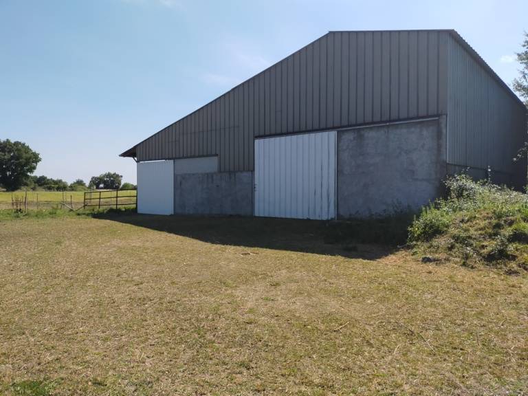 Propri&eacute;t&eacute; &eacute;questre 