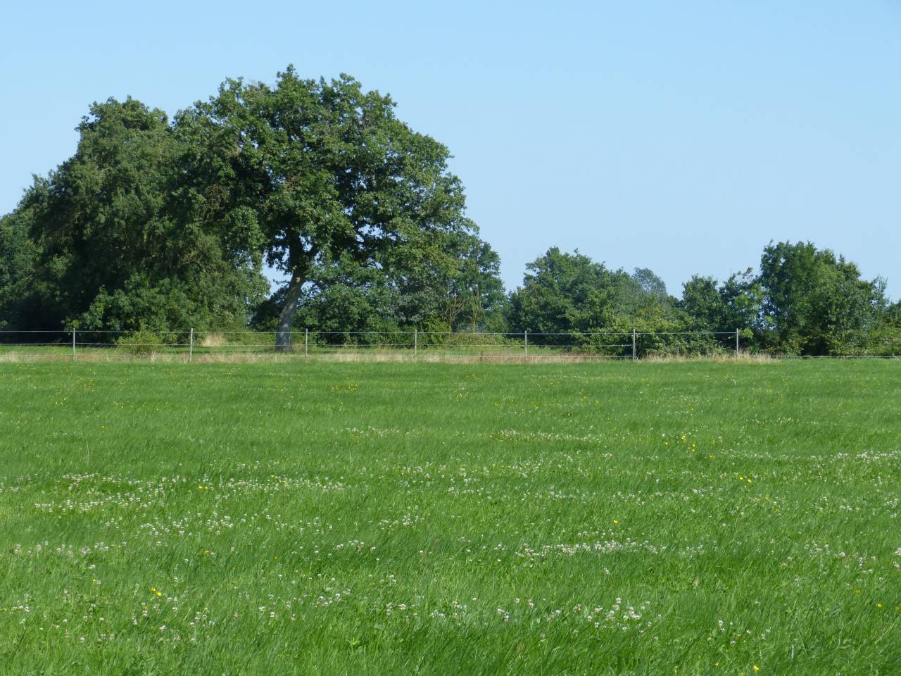 Propri&eacute;t&eacute; &eacute;questre 