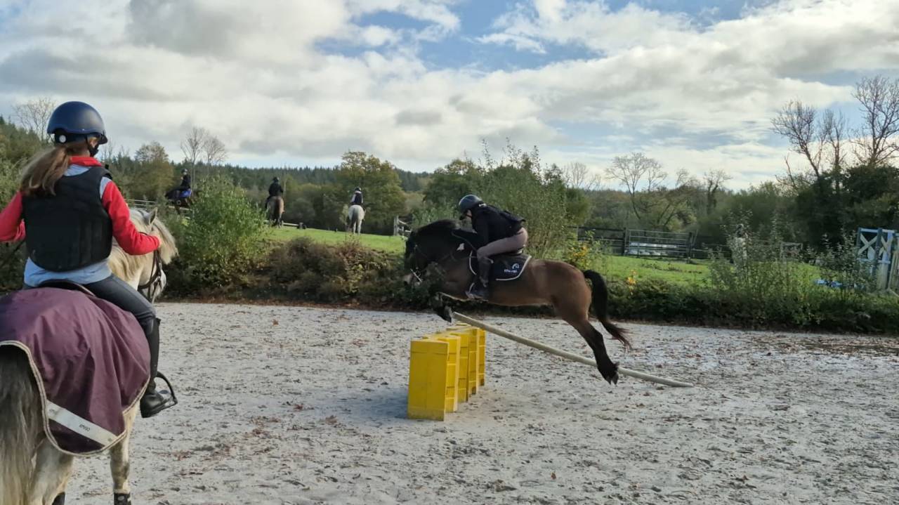 Hongre poney B 6 ans WPB pour CSO