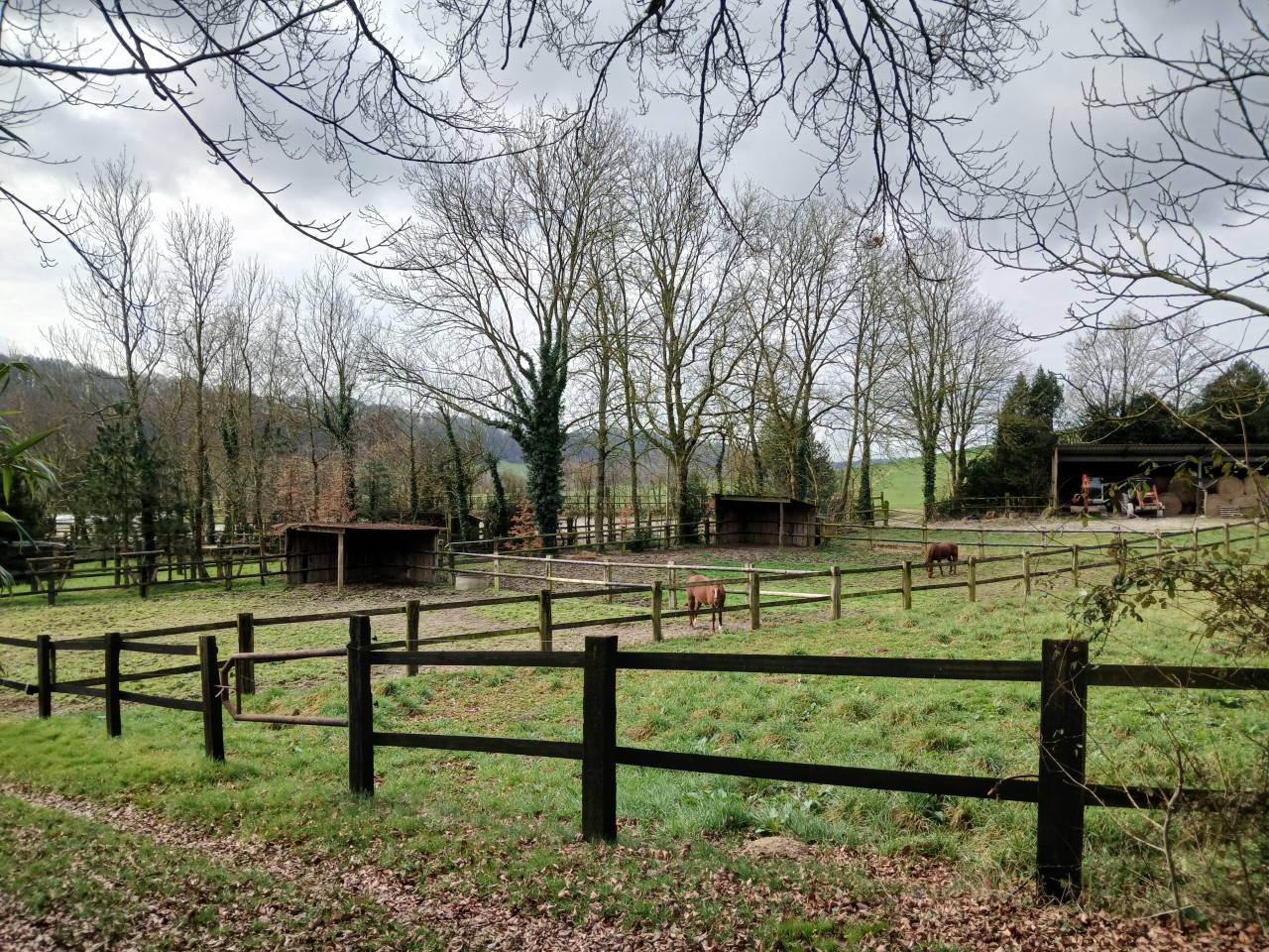 haras d'&eacute;levage 30ha