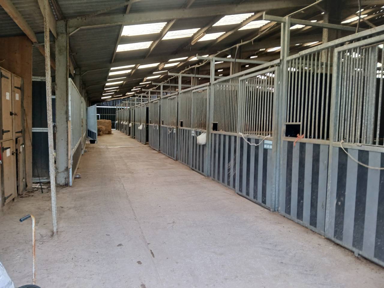 haras d'&eacute;levage 30ha