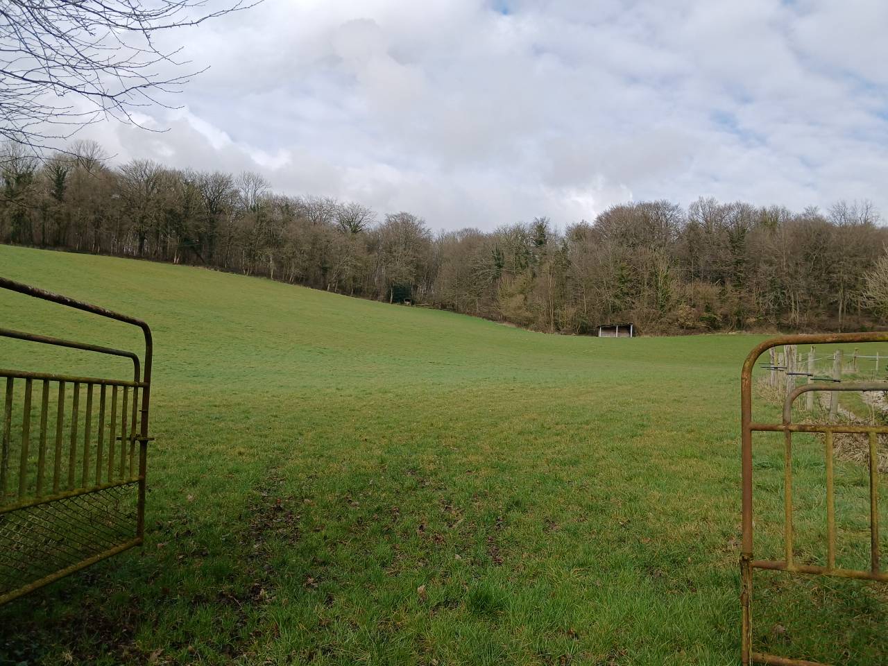 haras d'&eacute;levage 30ha