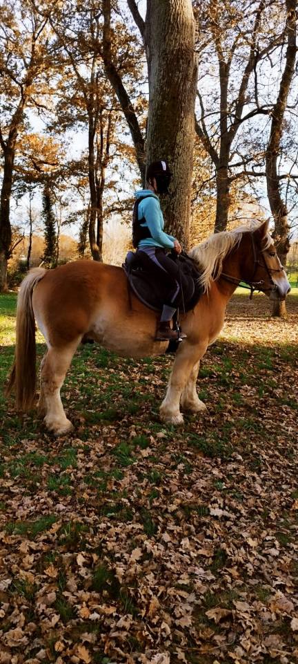 Trait Breton 5 ans et 9 mois
