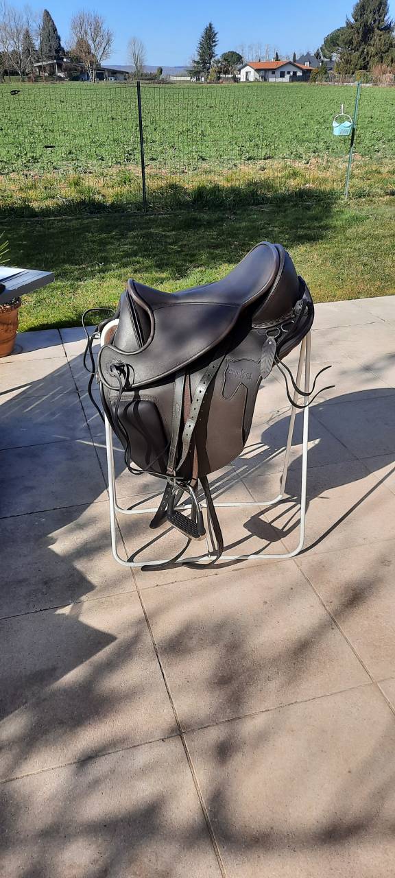 Trait Breton 5 ans et 9 mois