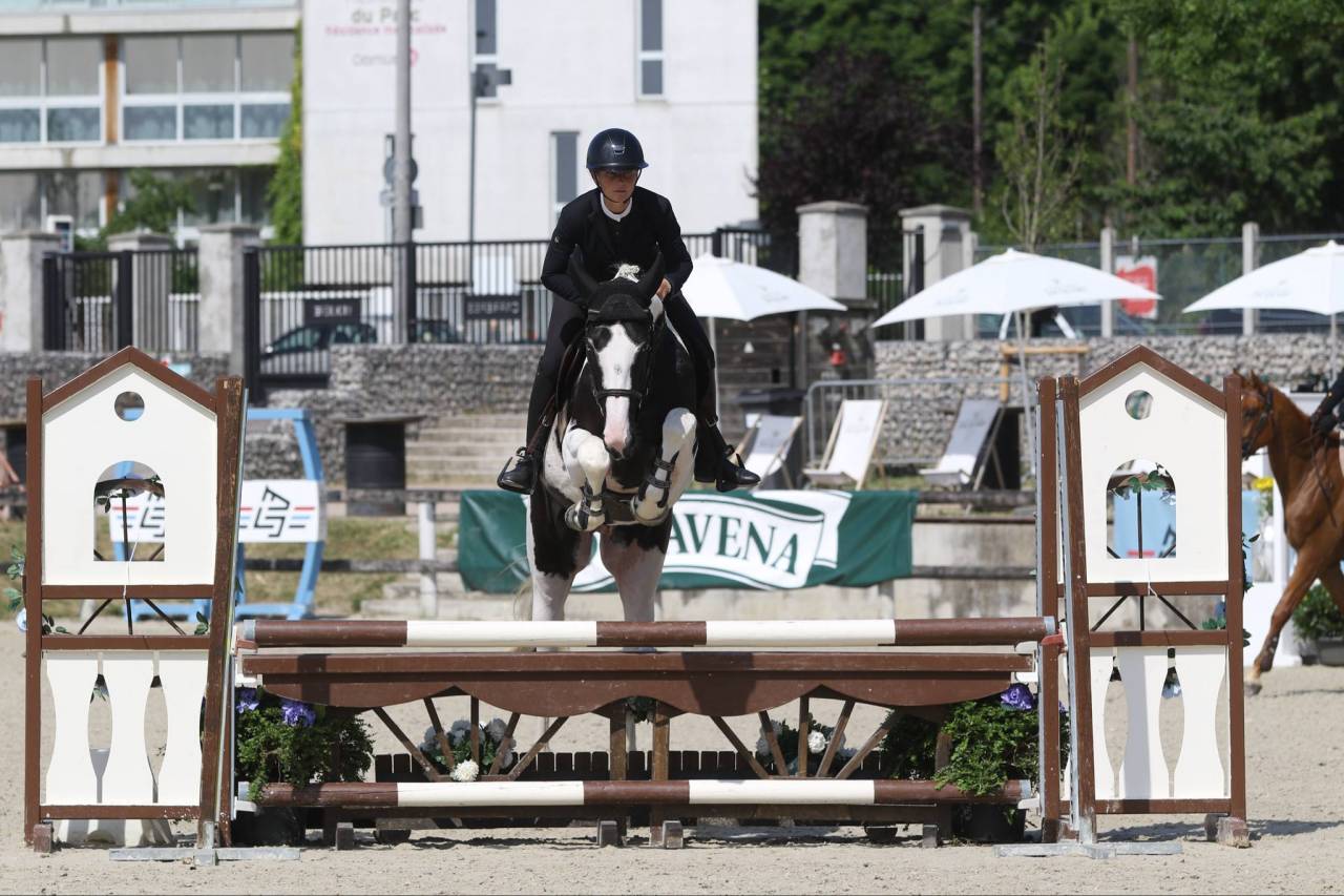 Saillie ETALON Pie-noir homozygote