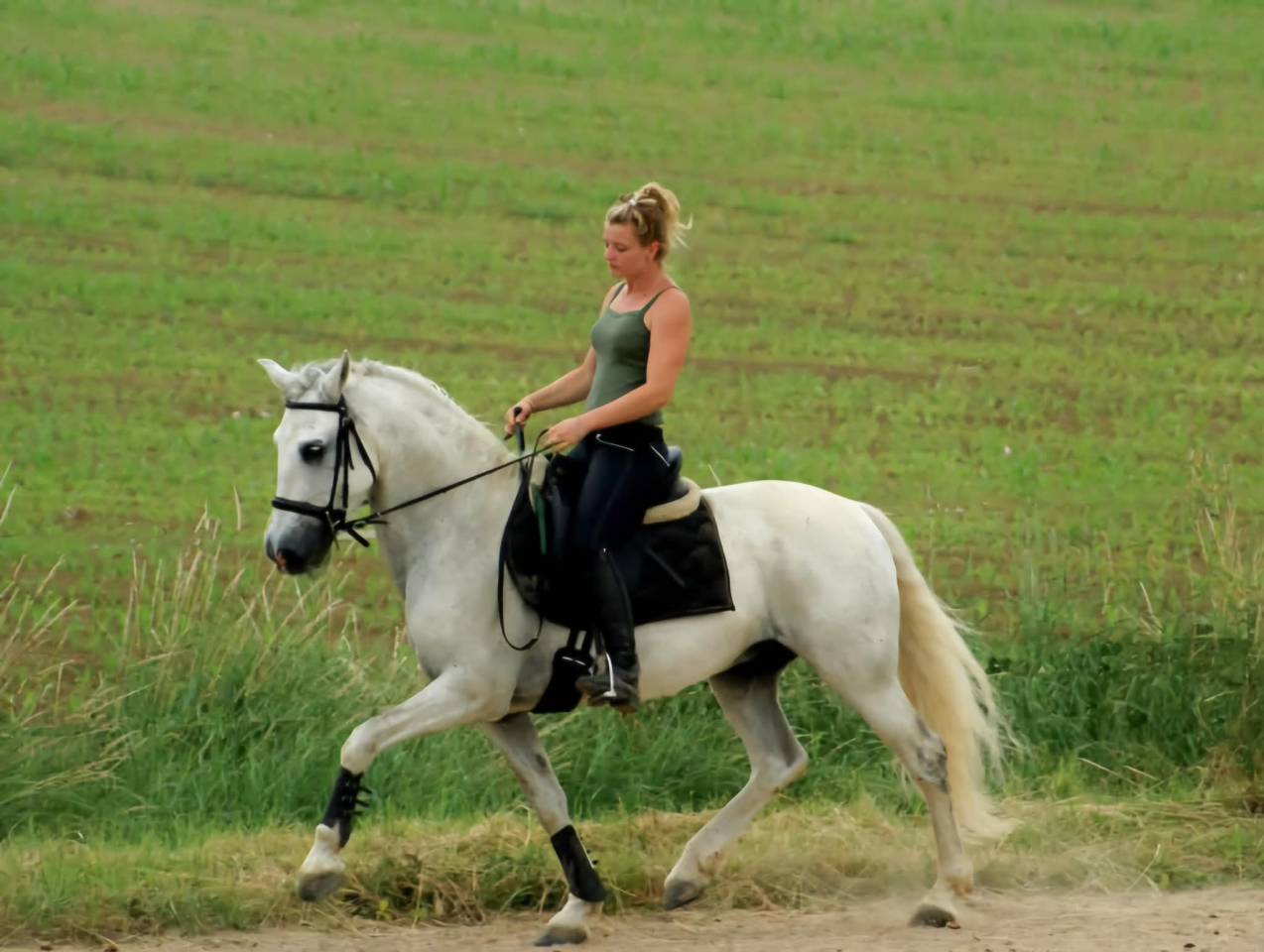 Pension travail - &eacute;ducation - d&eacute;bourrage