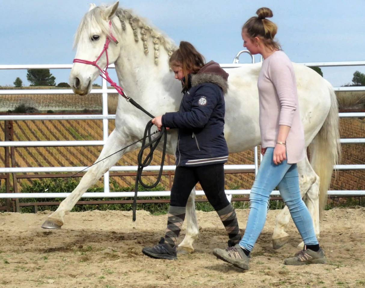 Pension travail - &eacute;ducation - d&eacute;bourrage