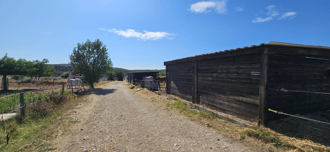 Pension travail - &eacute;ducation - d&eacute;bourrage