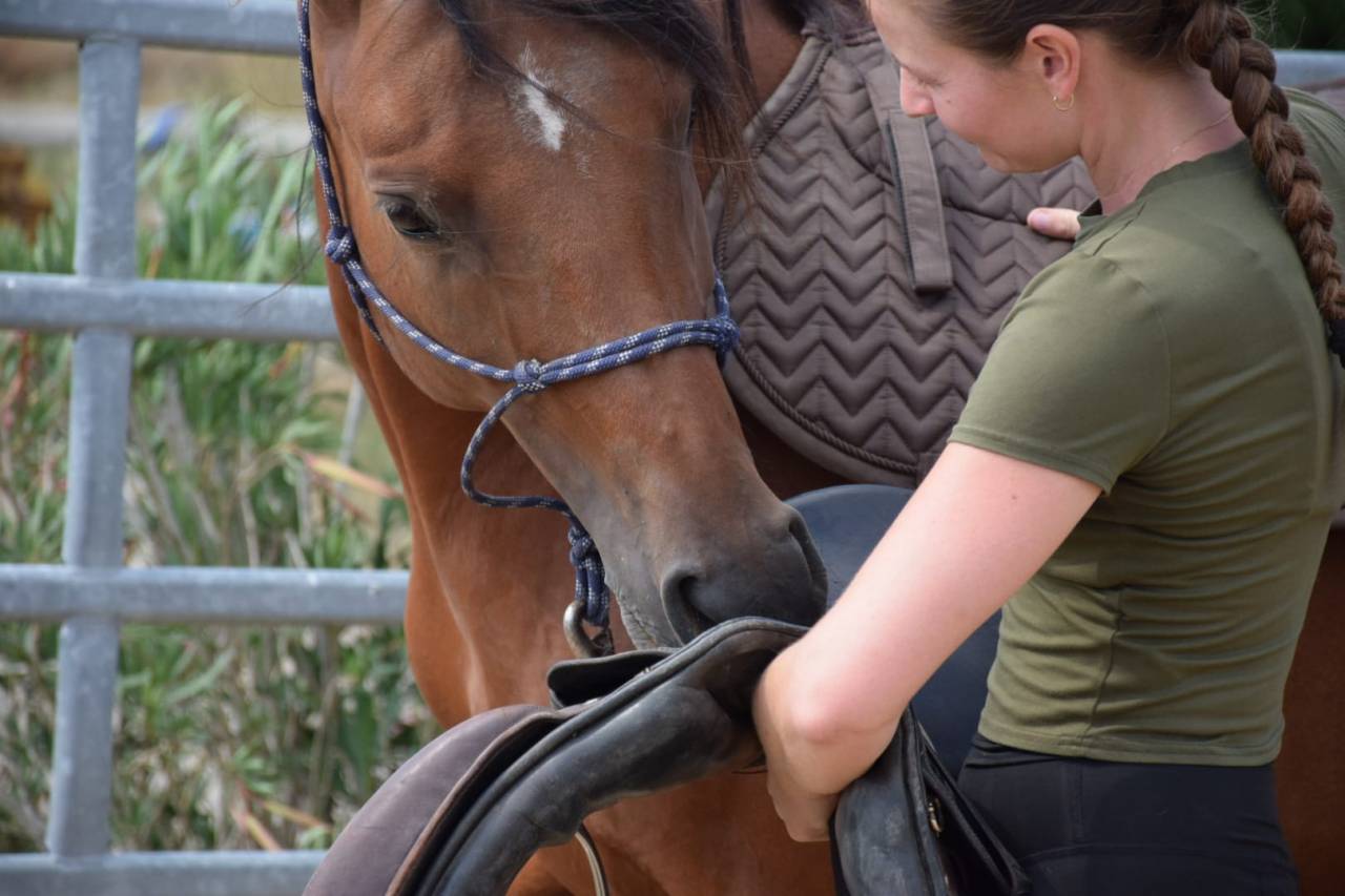 Pension travail - &eacute;ducation - d&eacute;bourrage