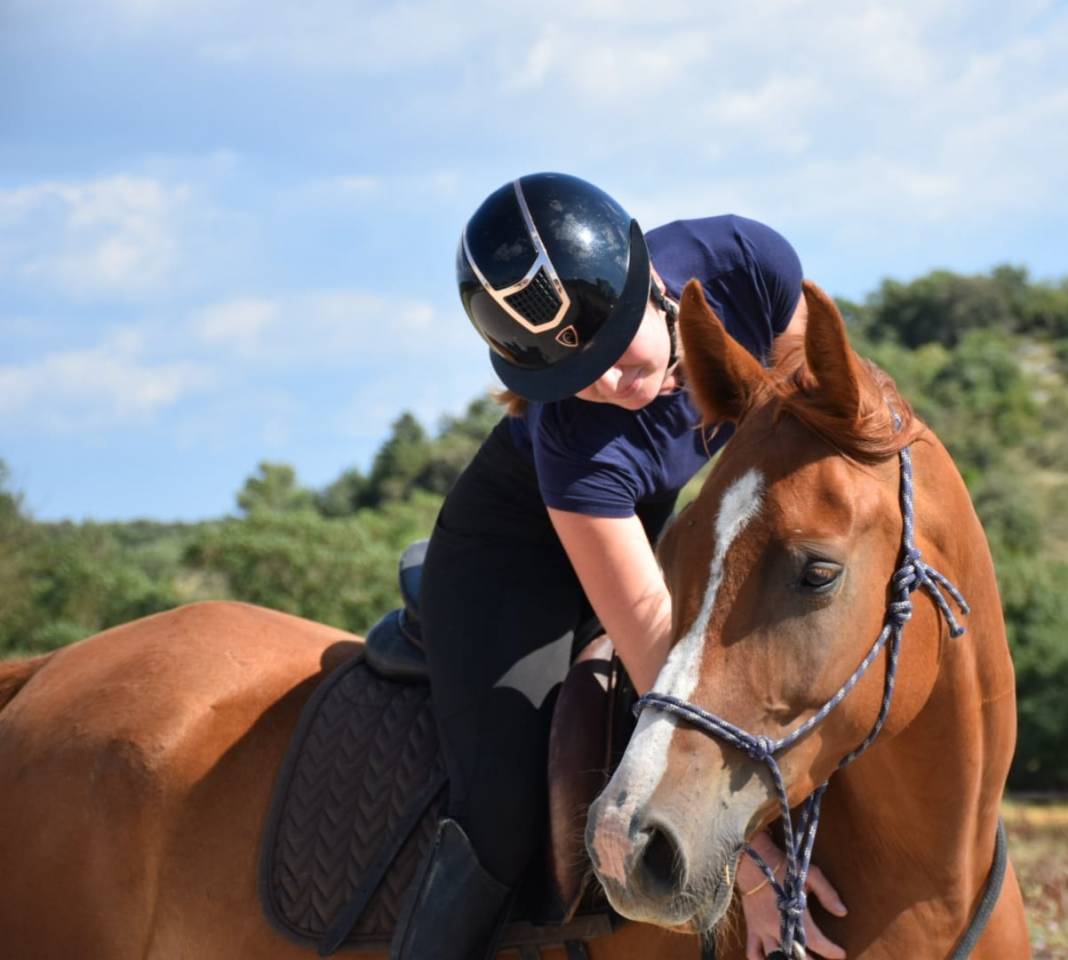 Pension travail - &eacute;ducation - d&eacute;bourrage
