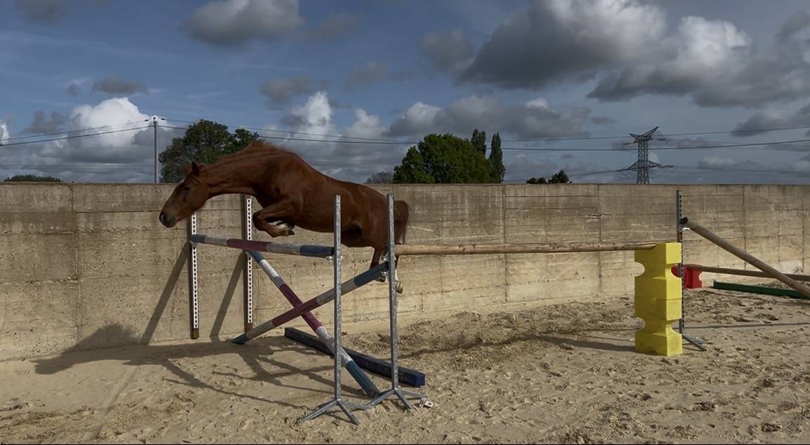 Ponette PFS C