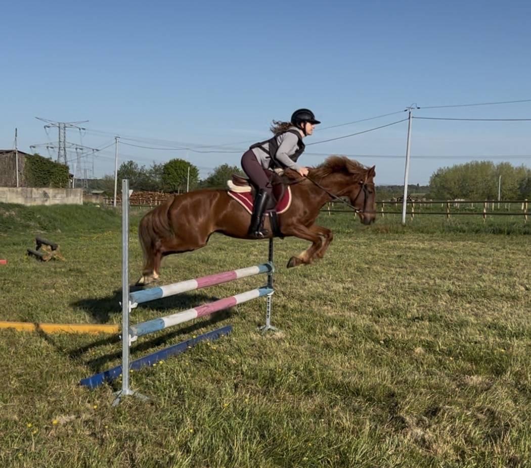 Ponette PFS C