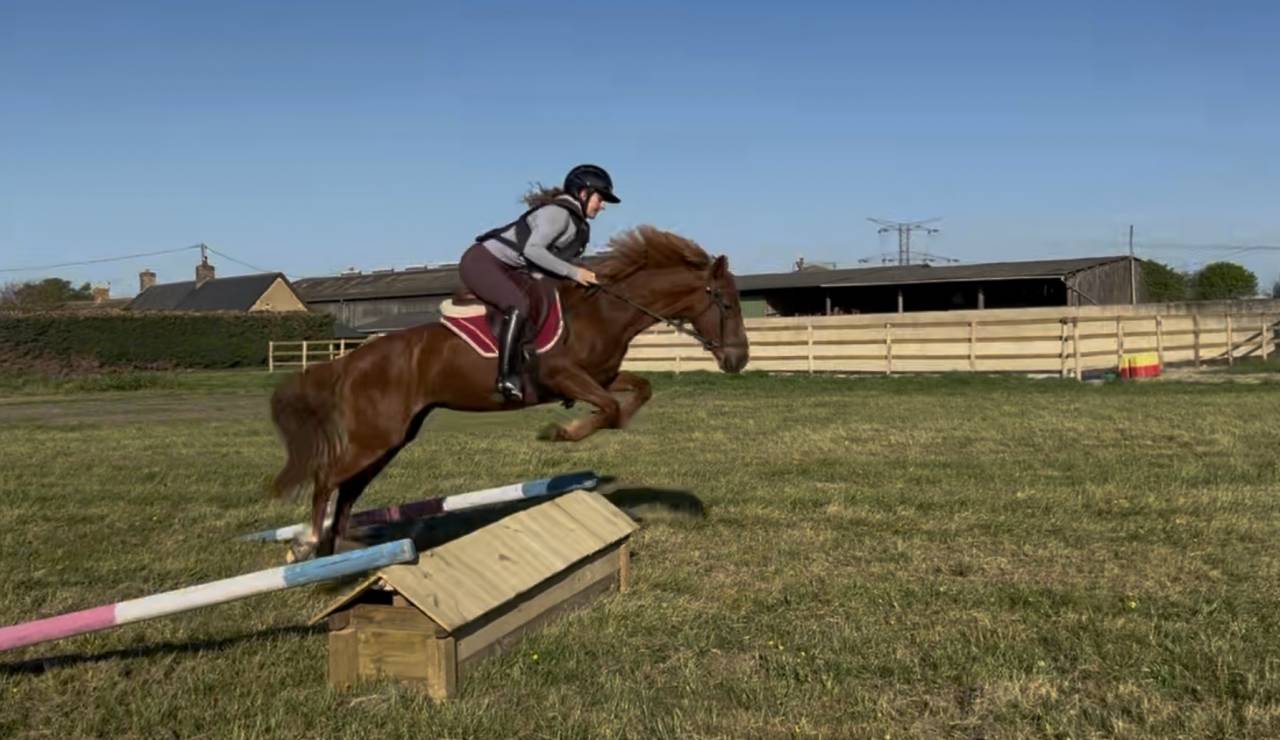 Ponette PFS C
