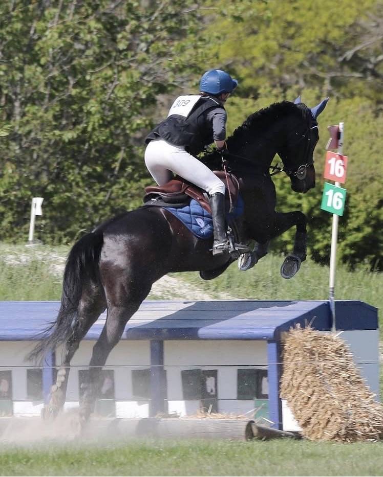 Jument id&eacute;al pour amateur